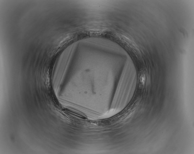 X0000111211252200907221143