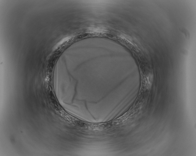 X0000111211254200907221143