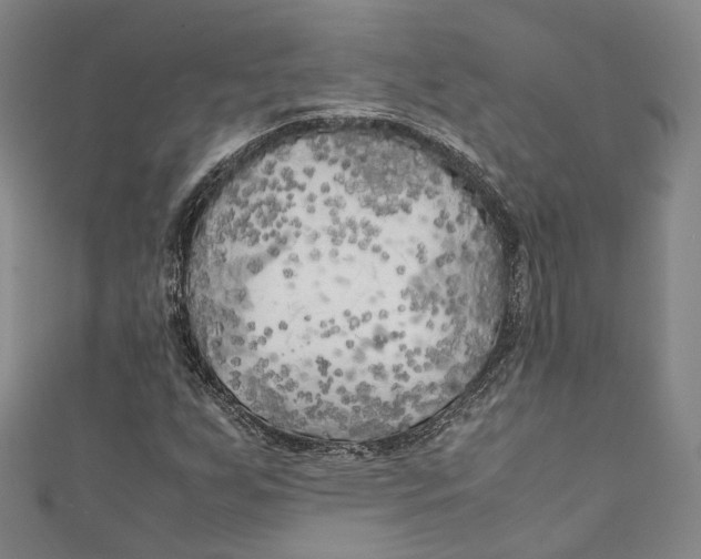 X0000111211255200907221143