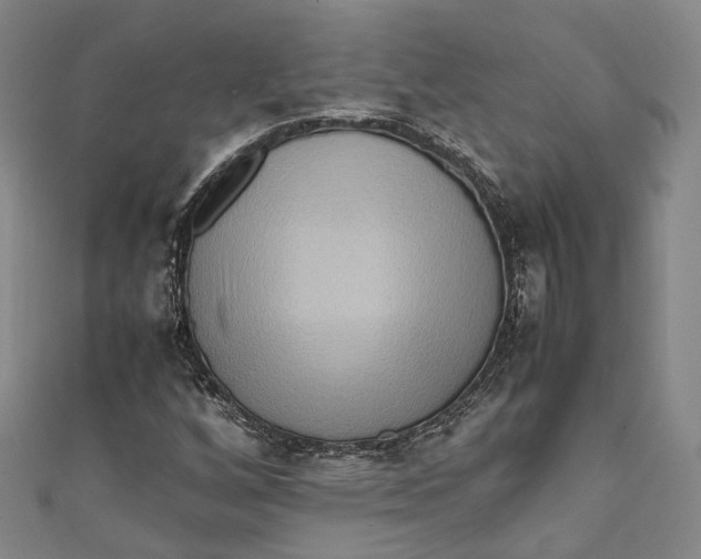 X0000111211256200907221143