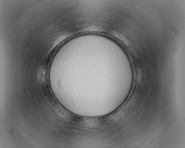 X0000111211258200907221143