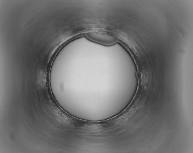 X0000111211260200907221143