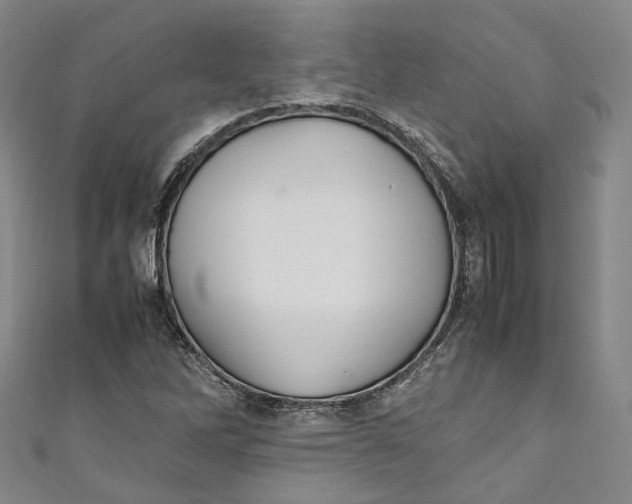 X0000111211262200907221143