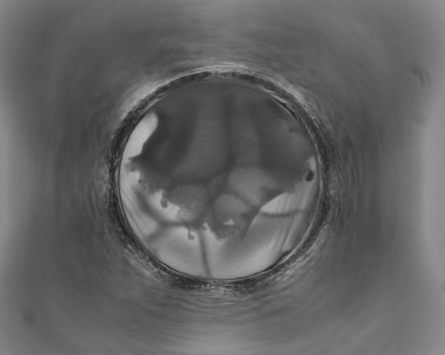 X0000111211263200907221143