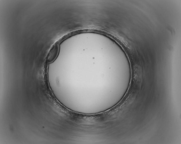 X0000111211264200907221143