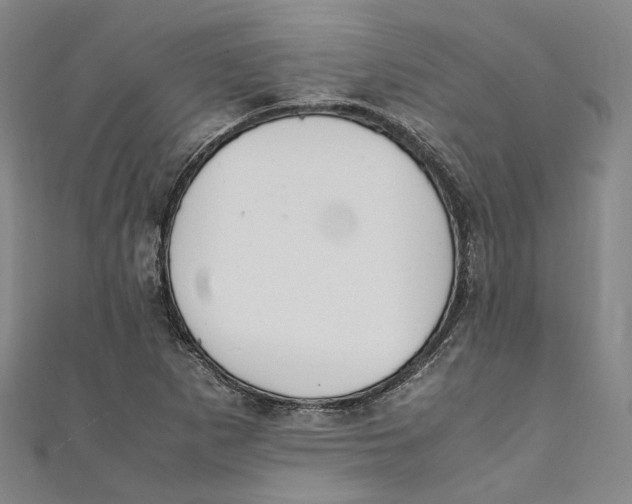 X0000111211265200907221143