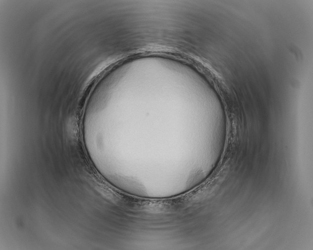 X0000111211266200907221143