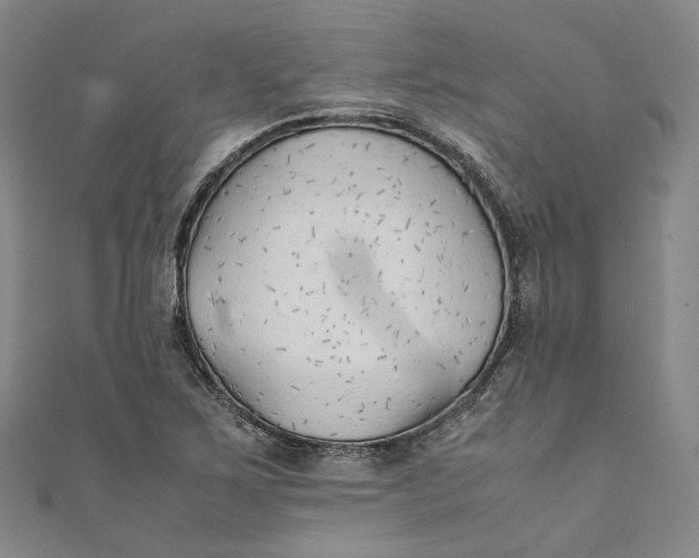 X0000111211267200907221143