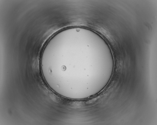 X0000111211268200907221143