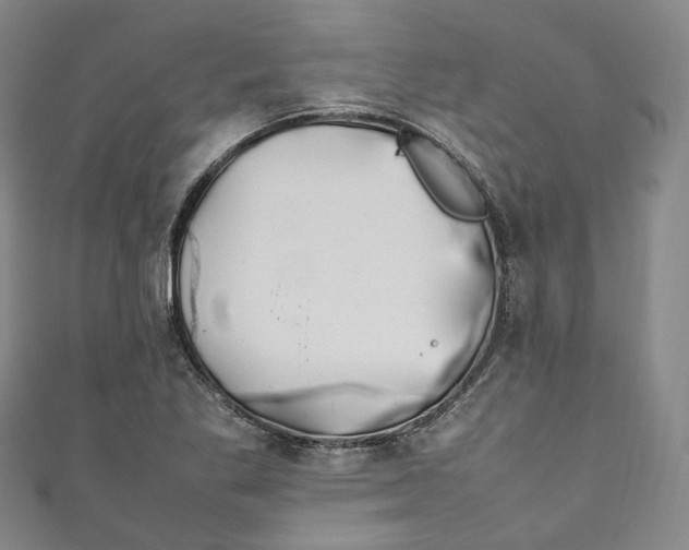 X0000111211269200907221143