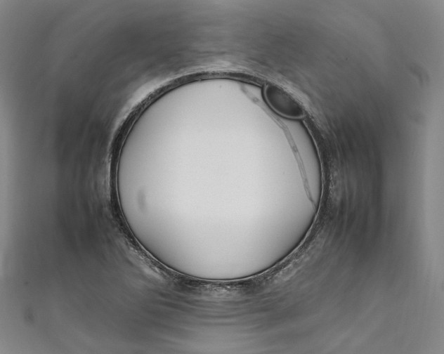 X0000111211270200907221143