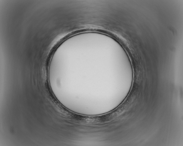 X0000111211271200907221143