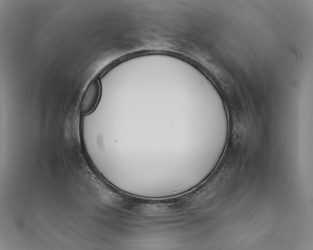 X0000111211272200907221143