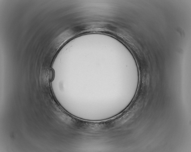 X0000111211273200907221143