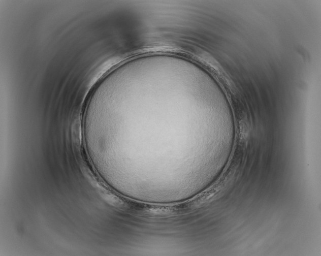 X0000111211274200907221143