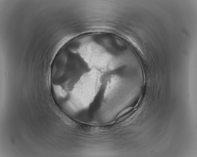 X0000111211275200907221143