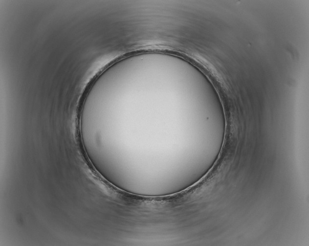 X0000111211277200907221143