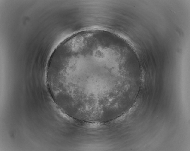 X0000111211278200907221143