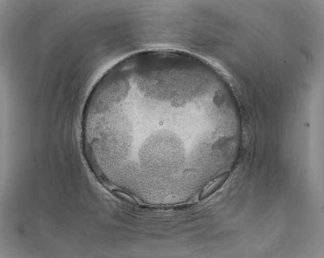 X0000111211279200907221143