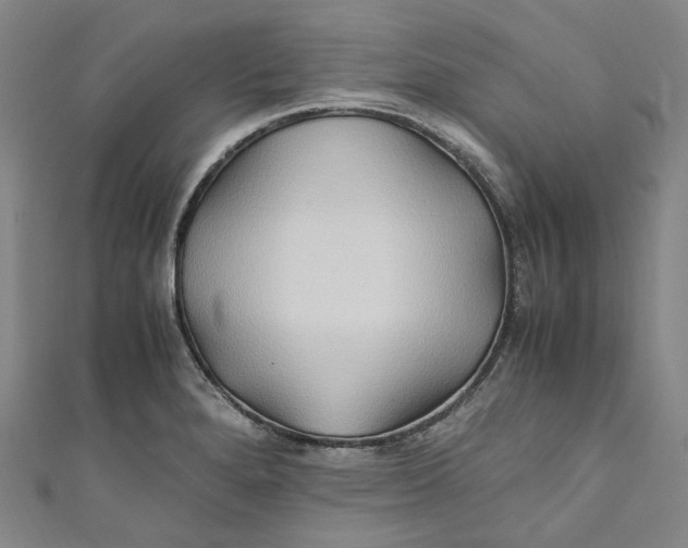 X0000111211280200907221143