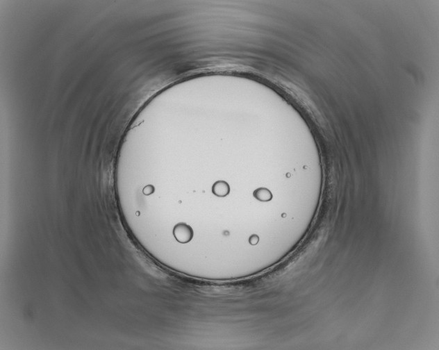 X0000111211281200907221143