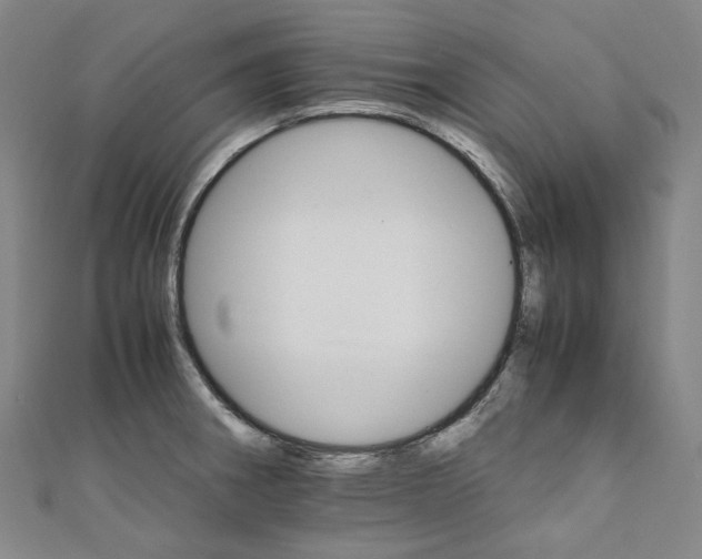 X0000111211282200907221143