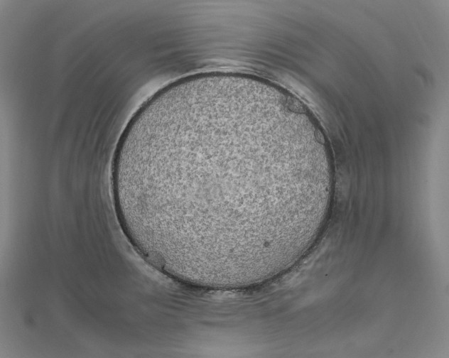 X0000111211283200907221143