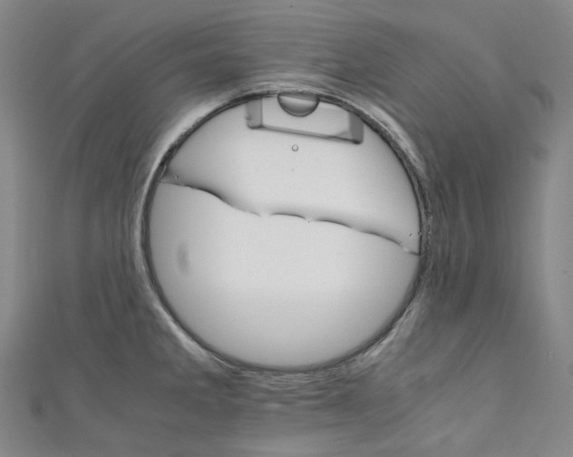 X0000111211285200907221143