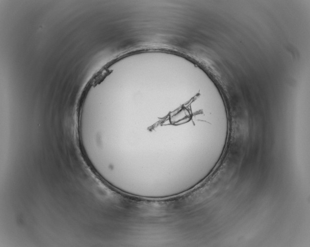 X0000111211286200907221143