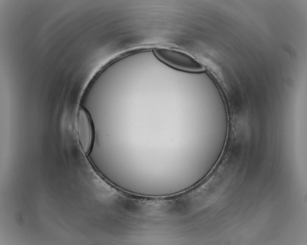 X0000111211288200907221143