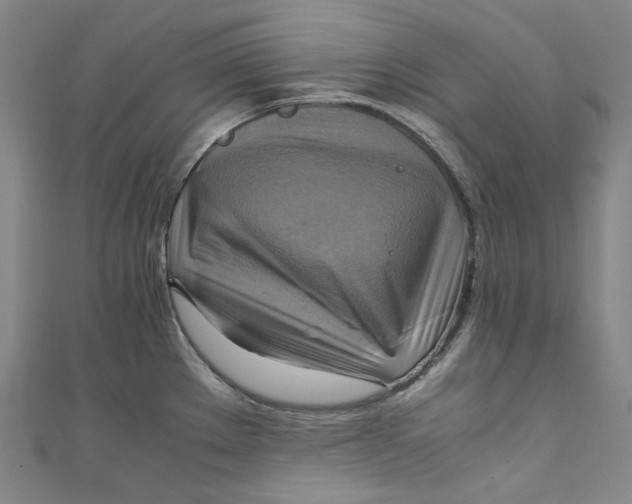 X0000111211289200907221143