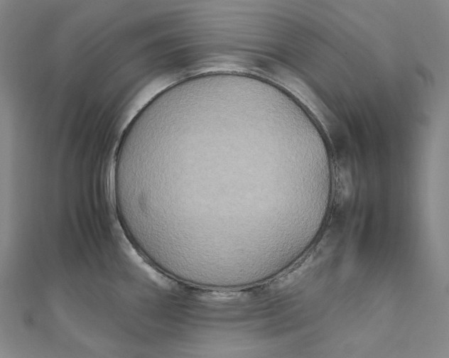 X0000111211290200907221143