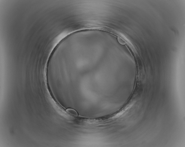 X0000111211291200907221143