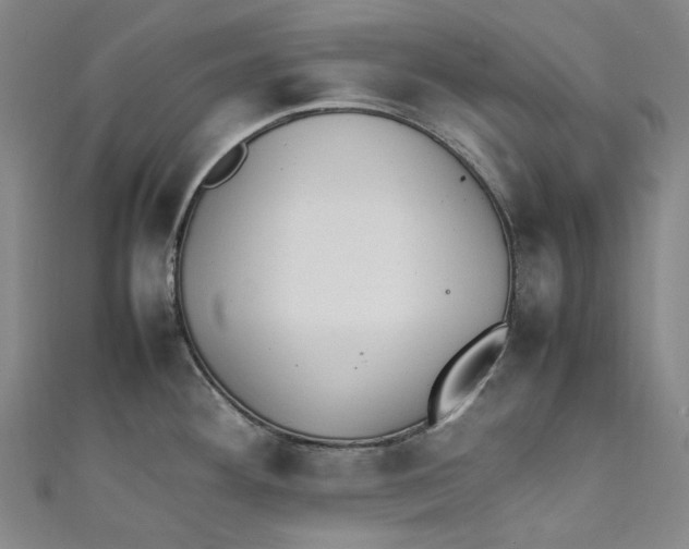 X0000111211292200907221143