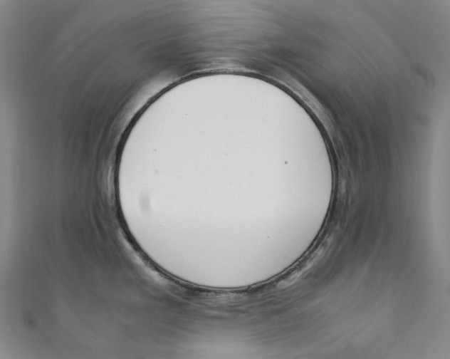 X0000111211293200907221143