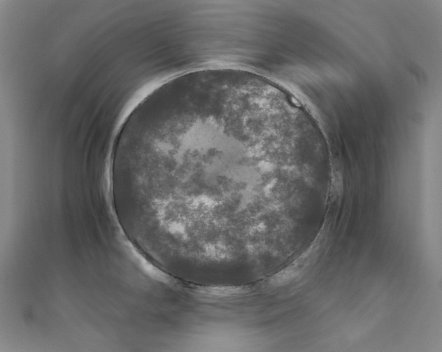 X0000111211294200907221143