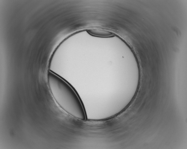 X0000111211296200907221143