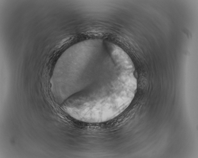 X0000111211297200907221142