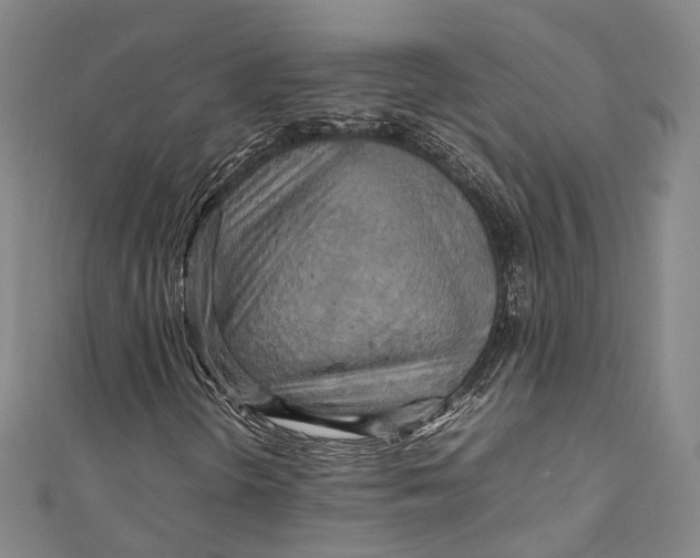 X0000111211298200907221142