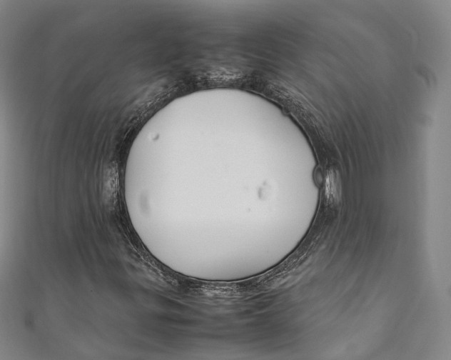 X0000111211299200907221142