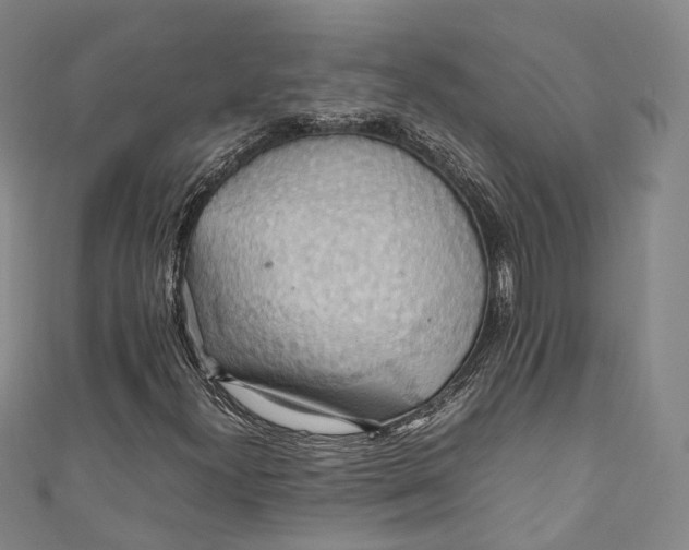 X0000111211300200907221142