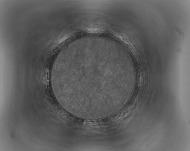 X0000111211301200907221142