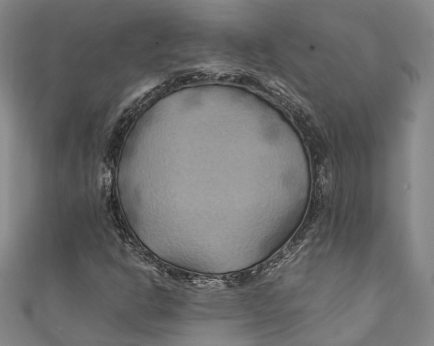 X0000111211302200907221142