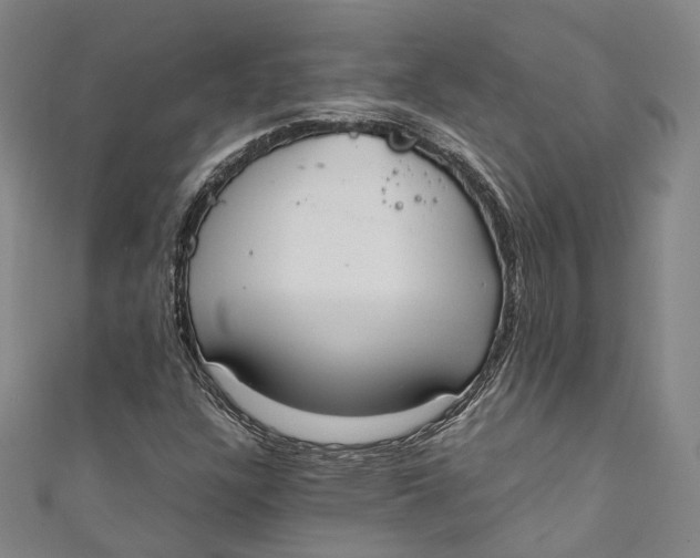 X0000111211304200907221142