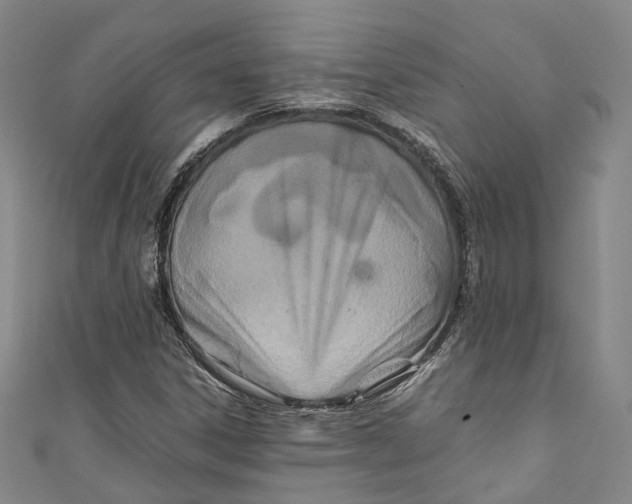 X0000111211306200907221142