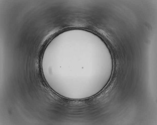 X0000111211307200907221142