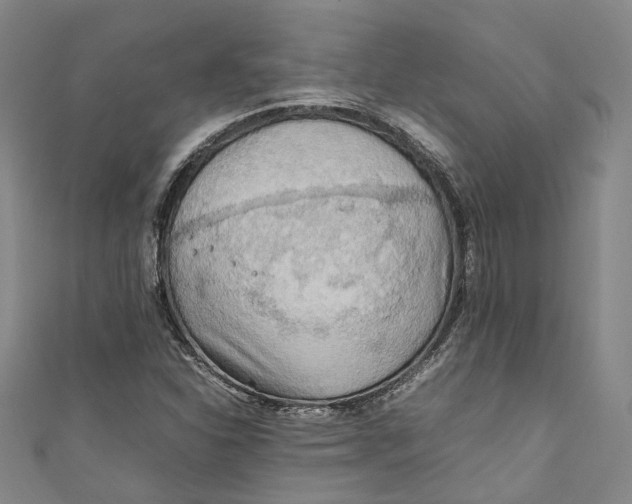 X0000111211310200907221142