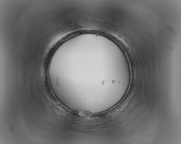 X0000111211311200907221142