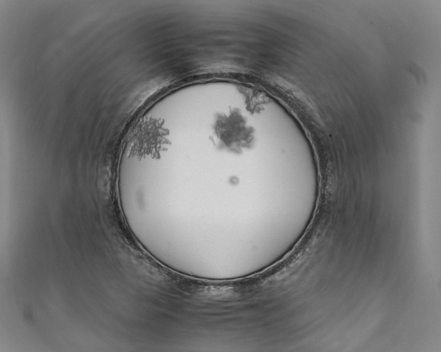 X0000111211313200907221142