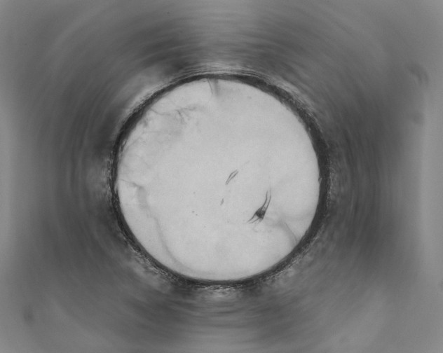 X0000111211314200907221142